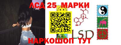 крисы Гатчина