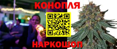 крисы Гатчина