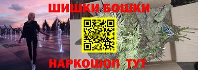 крисы Гатчина