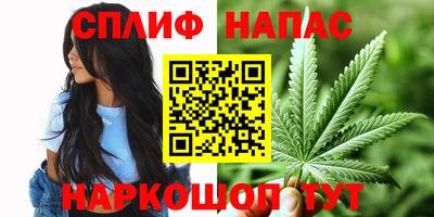 крисы Гатчина