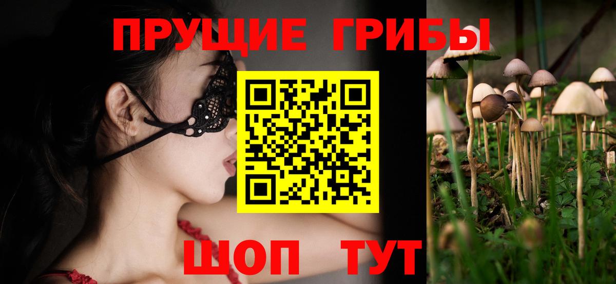 Галлюциногенные грибы GOLDEN TEACHER Егорьевск